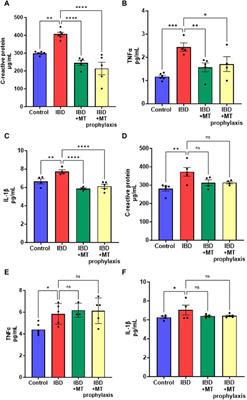 Sex-specific colonic mitochondrial dysfunction in the indomethacin-induced rat model of inflammatory bowel disease